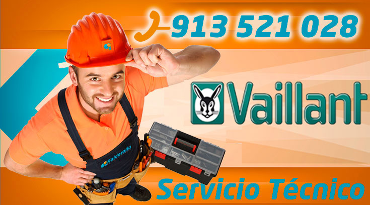 Servicio técnico Calderas Vaillant en Aravaca