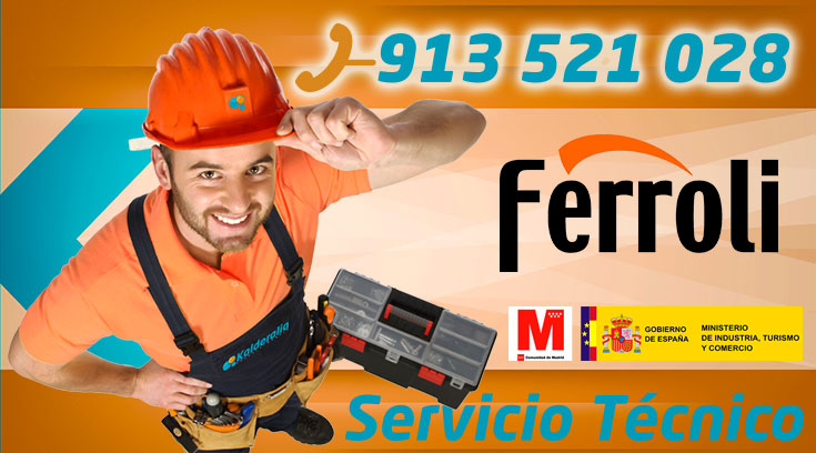 Servicio técnico Calderas Ferroli en Alcorcón